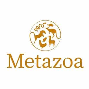 Metazoa